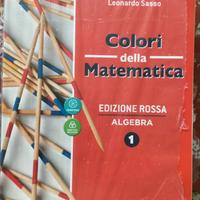L. Sasso- Colori della matematica-vol.1-Petrini