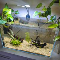 acquario 60 litri 