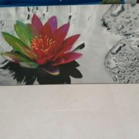quadro 