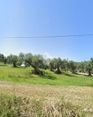 TER. AGRICOLO A MONTENERO DI BISACCIA