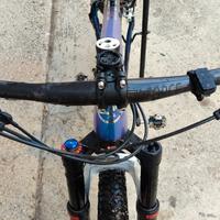 MTB 29 carbonio 