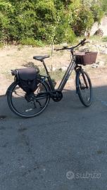 bicicletta elettrica 
