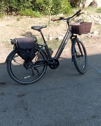 bicicletta elettrica 