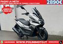 wottan-storm-x-125cc-bauletto-e-immat-omaggio