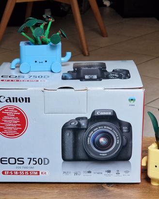 Kit Canon 750D 