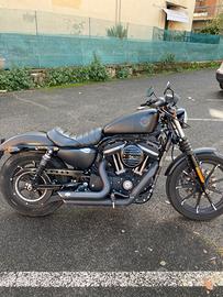 Harley iron 883 2019