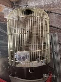 Gabbia per uccelli