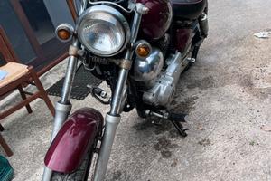 Yamaha virago 250cc