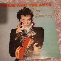 Adam and the ant - prince charming