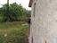 Immagine 13