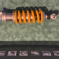 monoammortizzatore Tiger 1050