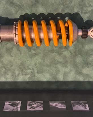 monoammortizzatore Tiger 1050