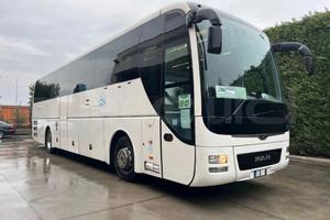 Man Lion's Coach