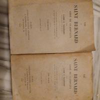 le vie de san bernard