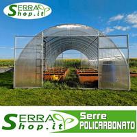 Serra policarbonato tunnel 6x4 orto giardino arco