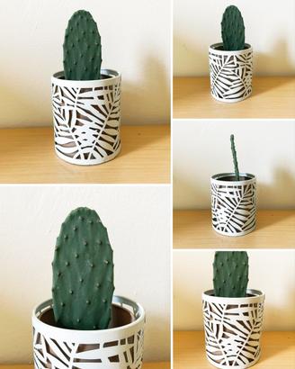 Cactus + Vaso di Metallo Cavo
