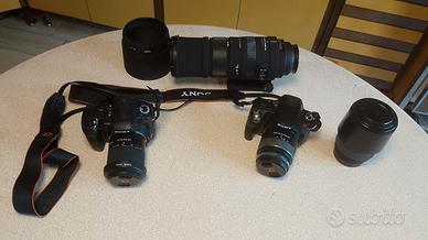 Sony Alpha / Sigma