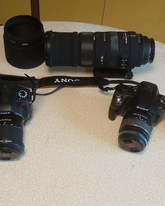 Sony Alpha / Sigma