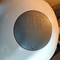 mangia pannolini in odore 