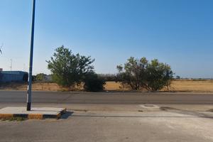 Terreno industriale 