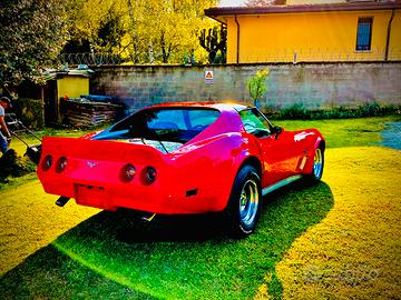 Chevrolet Corvette C3 stingray Custom