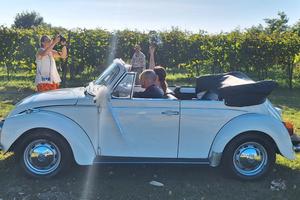 MAGGIOLONE CABRIO KARMANN 1303 1973