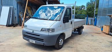 Fiat Ducato cassonato
