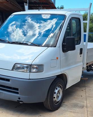 Fiat Ducato cassonato