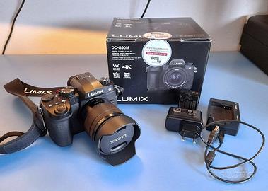 Panasonic G90 