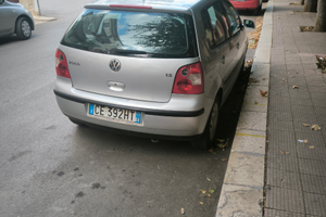 Polo