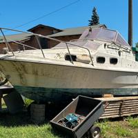 Daycruiser cabinato semicabinato barca a motore