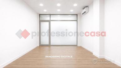 Negozio Livorno [426/BACG]