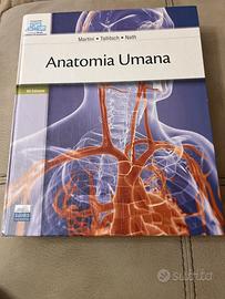 Anatomia Umana