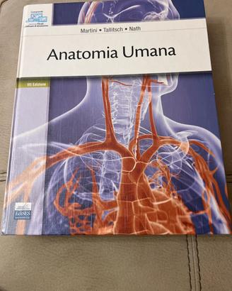 Anatomia Umana