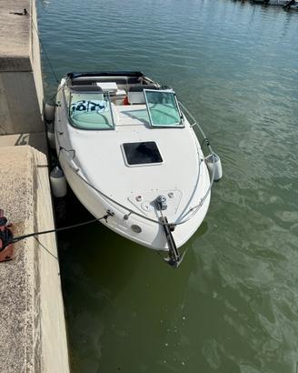 Searay 215 ec refit posto barca