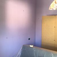 Professionista palchettista