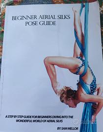 Beginner aerial silks pose guide