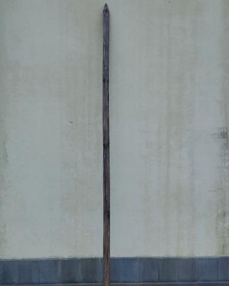 Pali torniti autoclavati d 6x300 con punta