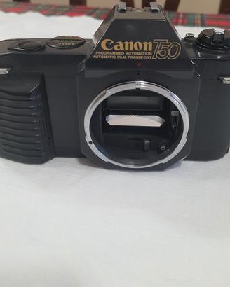 Canon T50 analogica