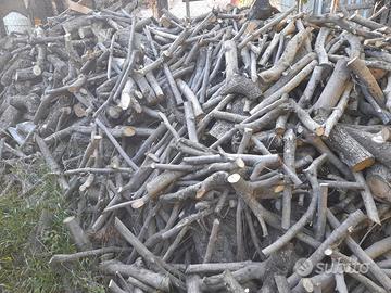 legna da ardere ulivo e mista