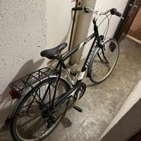 Bicicletta Torpado