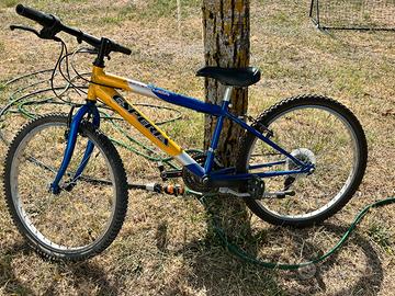 Mtb Esperia bambino 24 pollici