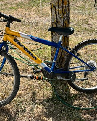 Mtb Esperia bambino 24 pollici