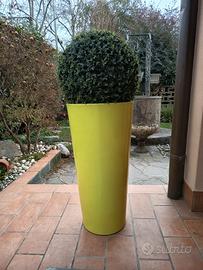 vaso per giardino/terrazzo