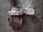 Immagine 1