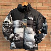 The north face jacket