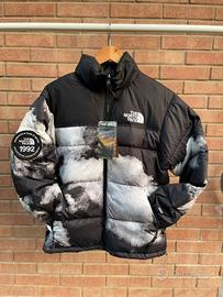 The north face jacket