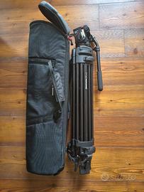 Treppiede Manfrotto 525 e testa 503