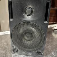 Coppia di casse da studio professionali