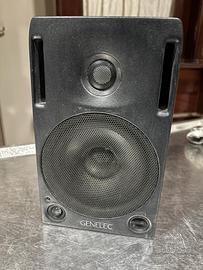 Coppia di casse da studio professionali